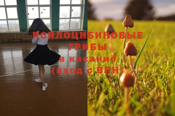 меф Нея