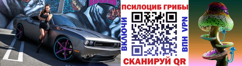 Галлюциногенные грибы ЛСД  Берёзовка 